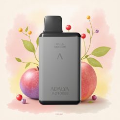Adalya AD 10000 アダリヤ スペースグレイ 14ml 2%ニコチン