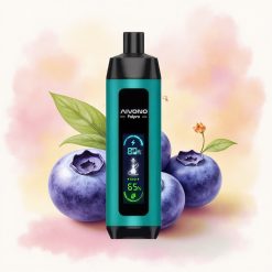 Aivono Aim Fatpro 22000 ブルーベリーガン 28ml 600mAh 0.6オーム