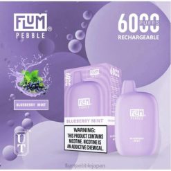 Flum Float Vape Flavors - FLUM PEBBLES 6000パフ ブルーベリーミント 8VX817