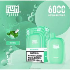 Flum Float Vape Flavors - FLUM PEBBLES 6000パフ メントール 8VX857
