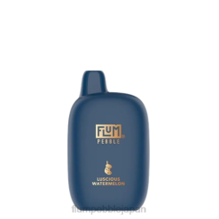 Flum Float Vape Flavors - FLUM PEBBLES 6000パフ（クリスマスバージョン） 甘美なスイカ 8VX837