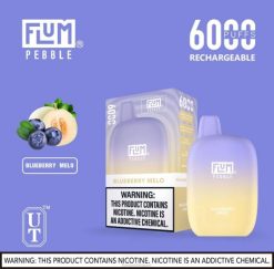 Flum Pebble Near Me - FLUM PEBBLES 6000パフ ブルーベリーメロ 8VX816
