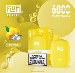 Flum Pebble Tokyo - FLUM PEBBLES 6000パフ マンゴーアイス 8VX853