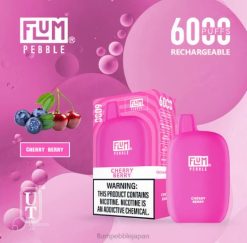 Flum Pebble Vape Price - FLUM PEBBLES 6000パフ チェリーベリー 8VX820